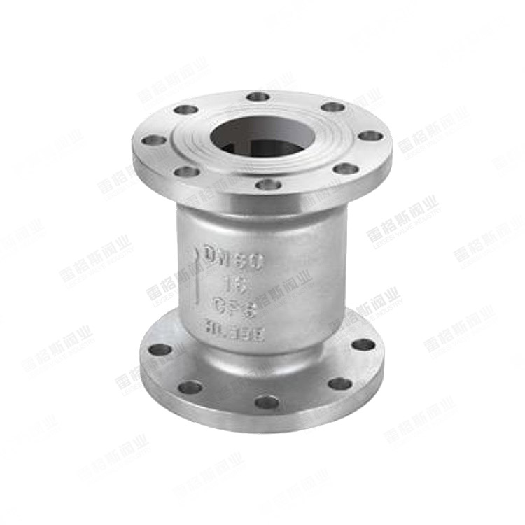 Vertical flange check valve